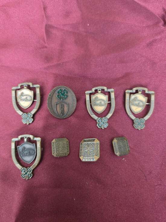 4-H Other - Collection Vintage 4-H Achievement Pins including Rabbit Dangle Pins Year Bars